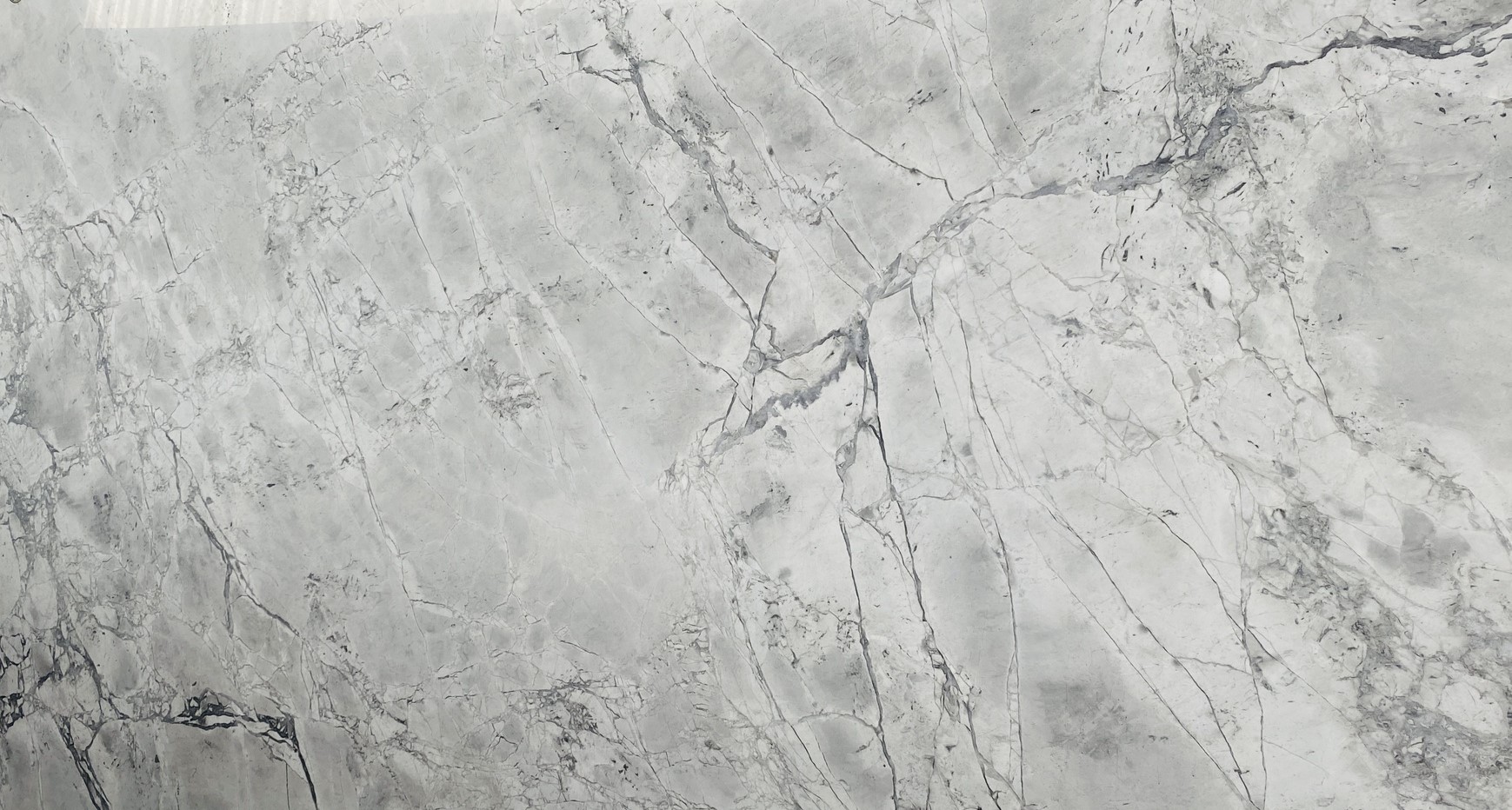 calacatta white TUY