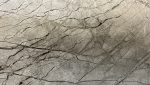 Silver Roots Marmer Keukenblad