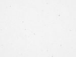 Composiet Keukenblad CAVA SNOW Diresco