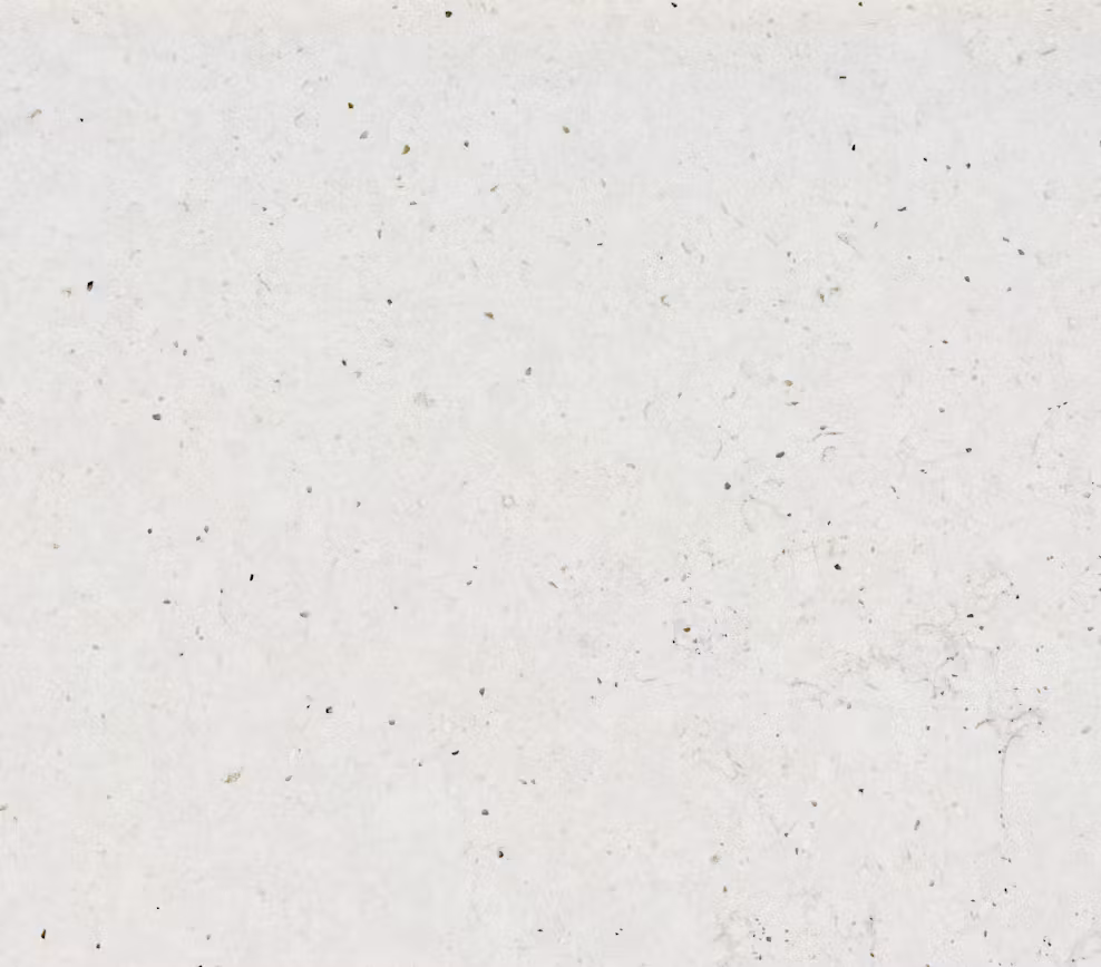 Composiet Keukenblad Lime Delight Silestone Composiet Keukenblad Lime Delight Silestone