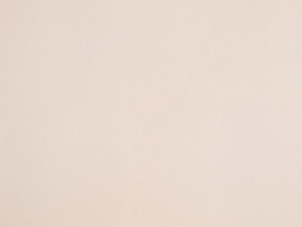 Light Beige Quartzforms Composiet Keukenblad